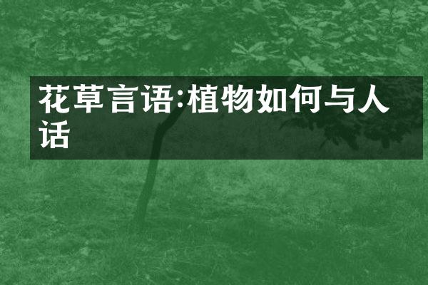 花草言语:植物如何与人对话