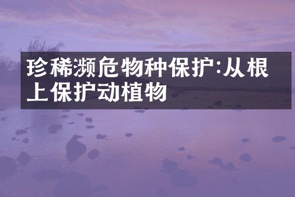 珍稀濒危物种保护:从根本上保护动植物