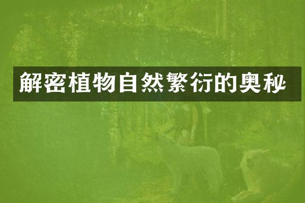 解密植物自然繁衍的奥秘