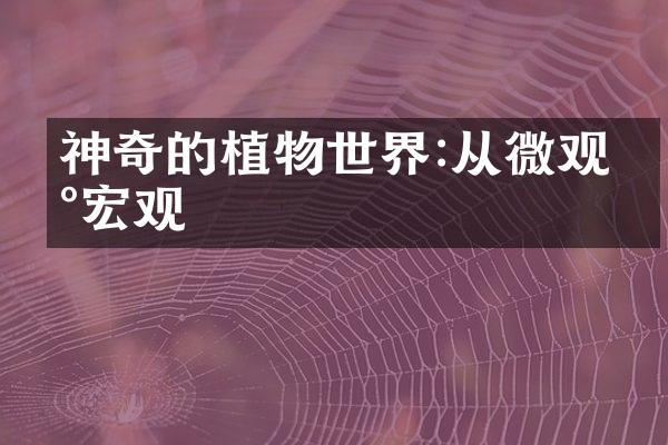 神奇的植物世界:从微观到宏观