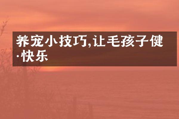 养宠小技巧,让毛孩子健康快乐