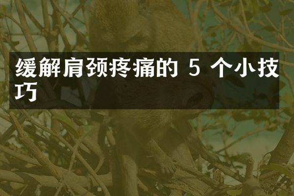 缓解肩颈疼痛的 5 个小技巧