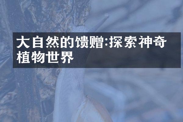 大自然的馈赠:探索神奇的植物世界