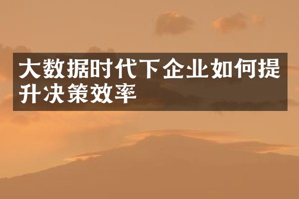 大数据时代下企业如何提升决策效率