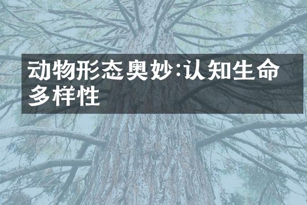 动物形态奥妙:认知生命的多样性