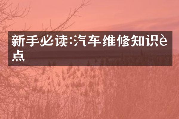 新手必读:汽车维修知识要点