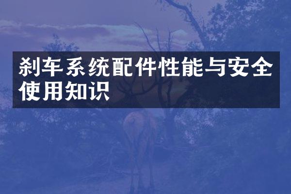 刹车系统配件性能与安全使用知识