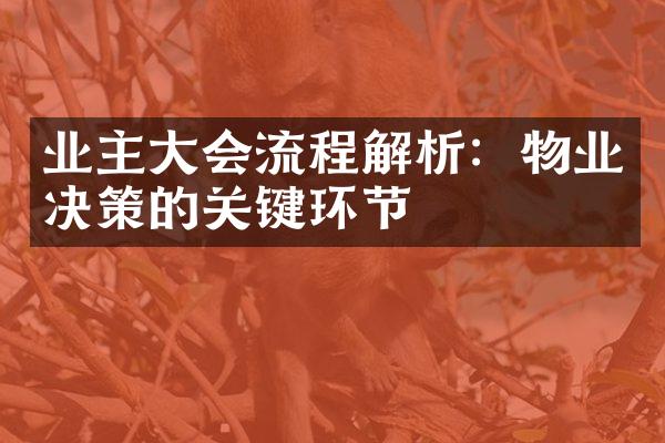 业主大会流程解析：物业决策的关键环节