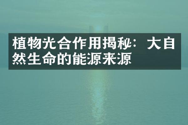 植物光合作用揭秘：大自然生命的能源来源