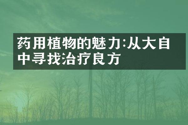 药用植物的魅力:从大自然中寻找治疗良方