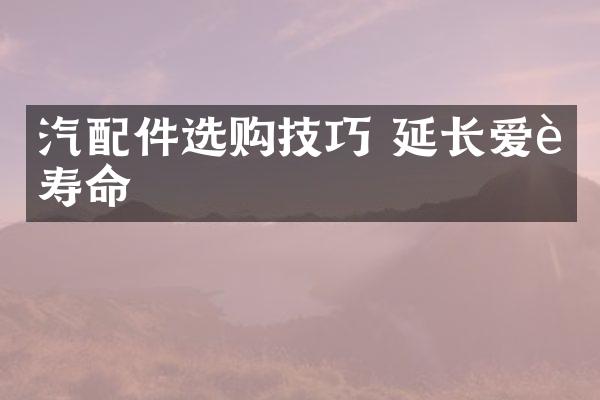 汽配件选购技巧 延长爱车寿命