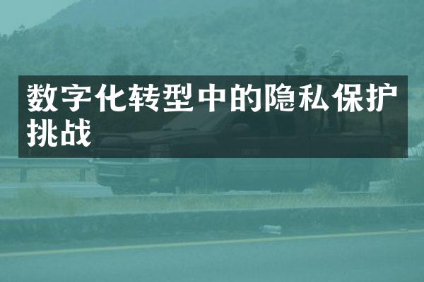 数字化转型中的隐私保护挑战