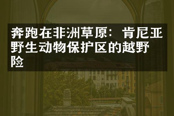 奔跑在非洲草原：肯尼亚野生动物保护区的越野探险