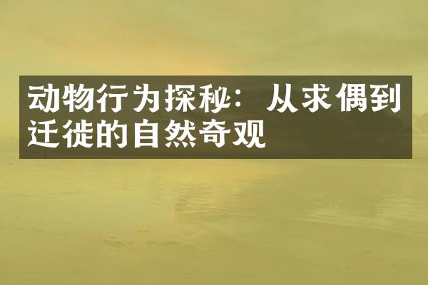 动物行为探秘：从求偶到迁徙的自然奇观
