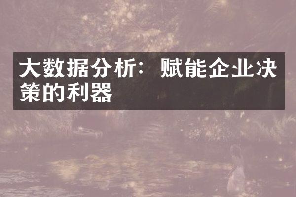 大数据分析：赋能企业决策的利器