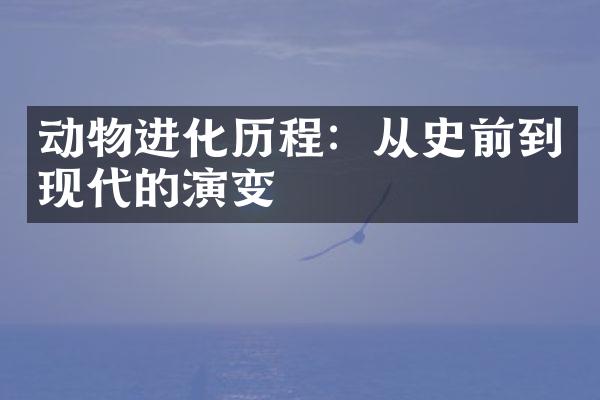 动物进化历程：从史前到现代的演变