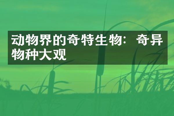 动物界的奇特生物：奇异物种大观