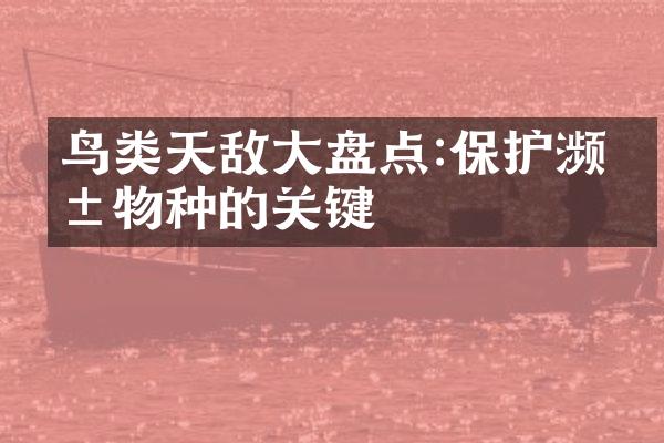 鸟类天敌大盘点:保护濒危物种的关键