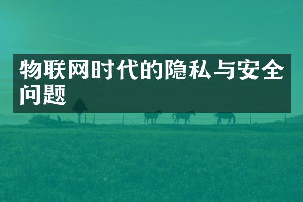 物联网时代的隐私与安全问题