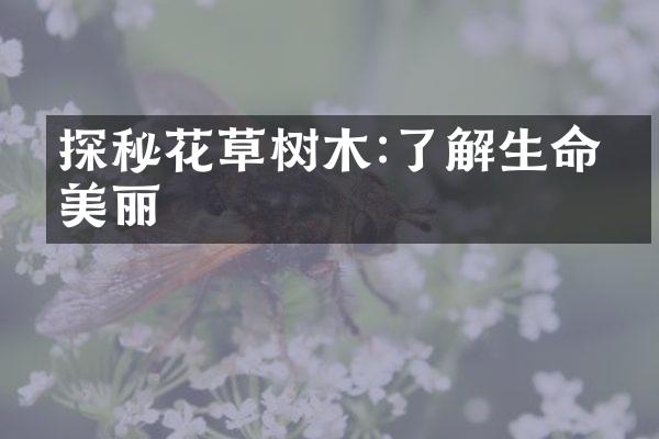 探秘花草树木:了解生命的美丽