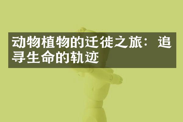 动物植物的迁徙之旅：追寻生命的轨迹