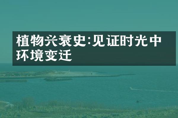 植物兴衰史:见证时光中的环境变迁