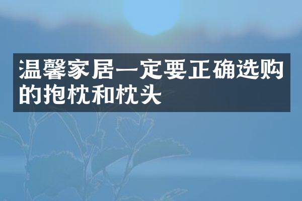 温馨家居一定要正确选购的抱枕和枕头