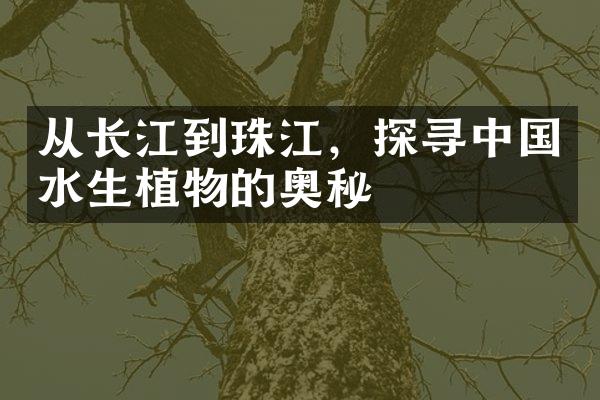 从长江到珠江，探寻中国水生植物的奥秘