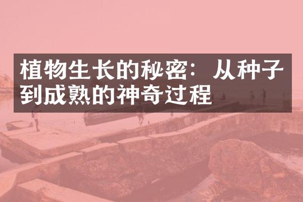 植物生长的秘密：从种子到成熟的神奇过程