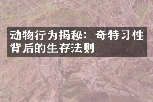 动物行为揭秘：奇特习性背后的生存法则