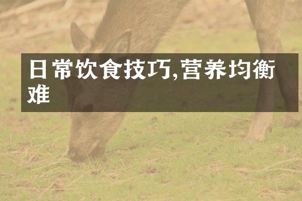 日常饮食技巧,营养均衡不难