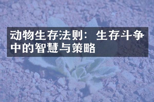 动物生存法则：生存斗争中的智慧与策略