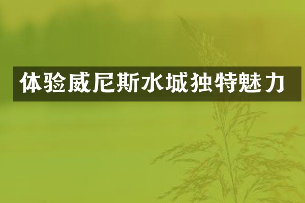 体验威尼斯水城独特魅力
