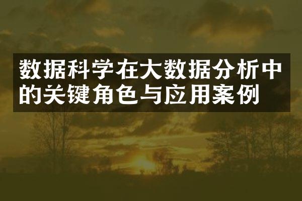 数据科学在大数据分析中的关键角色与应用案例