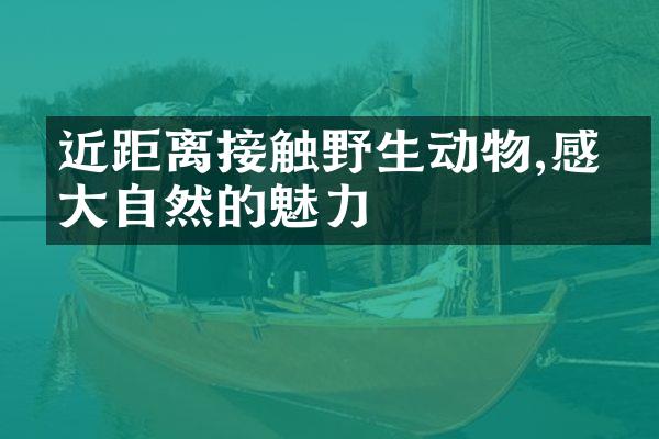 近距离接触野生动物,感受大自然的魅力