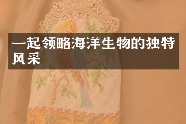 一起领略海洋生物的独特风采