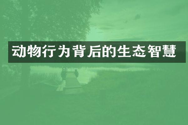 动物行为背后的生态智慧