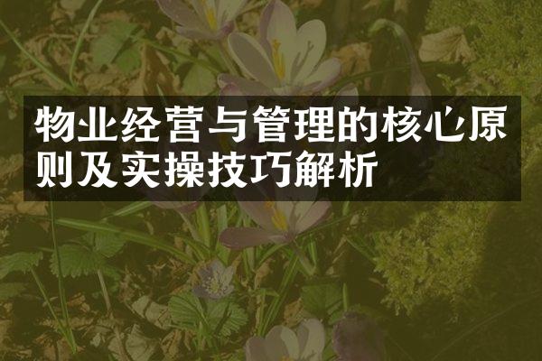 物业经营与管理的核心原则及实操技巧解析