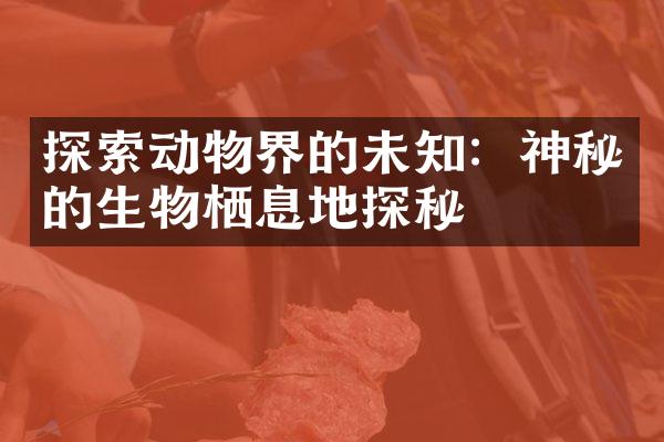 探索动物界的未知：神秘的生物栖息地探秘