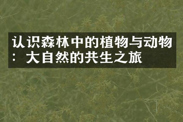 认识森林中的植物与动物：大自然的共生之旅