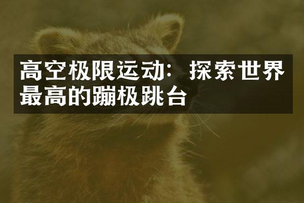 高空极限运动：探索世界最高的蹦极跳台