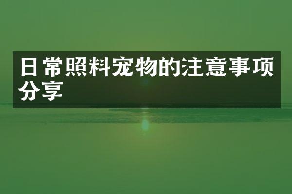 日常照料宠物的注意事项分享