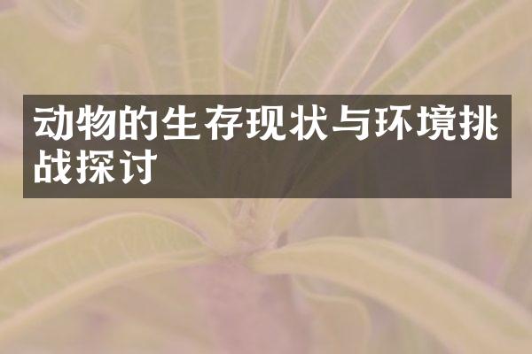 动物的生存现状与环境挑战探讨
