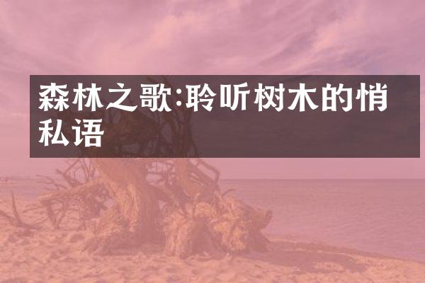 森林之歌:聆听树木的悄悄私语