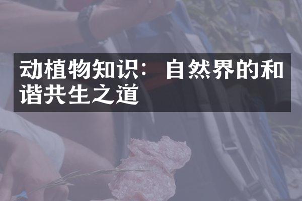 动植物知识：自然界的和谐共生之道