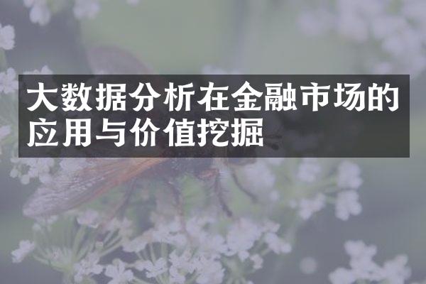 大数据分析在金融市场的应用与价值挖掘