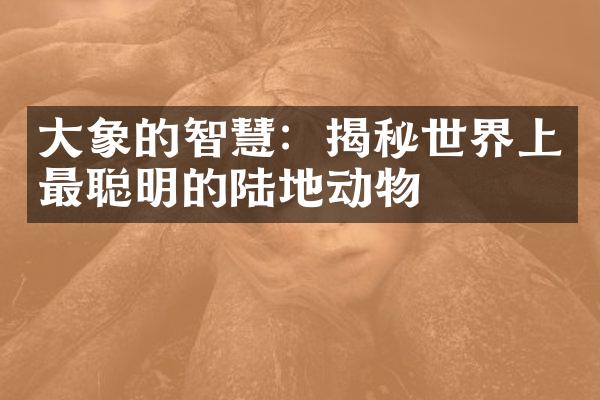 大象的智慧：揭秘世界上最聪明的陆地动物
