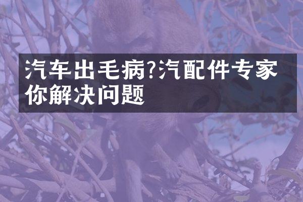 汽车出毛病?汽配件专家教你解决问题