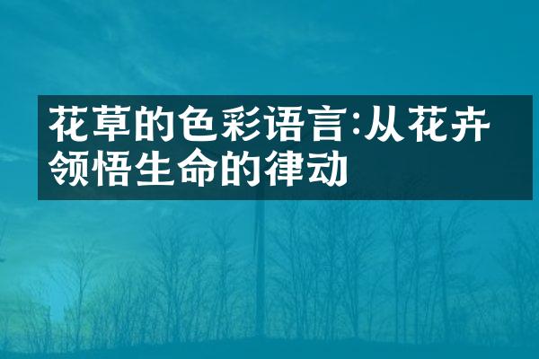 花草的色彩语言:从花卉中领悟生命的律动