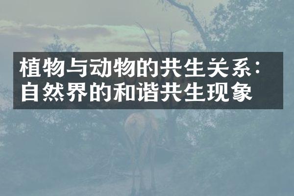 植物与动物的共生关系：自然界的和谐共生现象